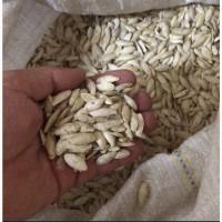 Продам гарбузове насіння