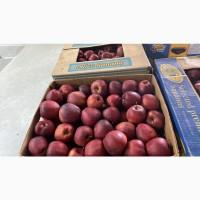 Яблука Голден Делішес, Фуджі, Грені Сміт, Ред Делішес