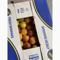 Яблука Голден Делішес, Фуджі, Грені Сміт, Ред Делішес