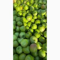 Яблука Голден Делішес, Фуджі, Грені Сміт, Ред Делішес