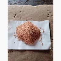 Продам просо миронівське 51