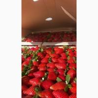 Полуниця свіжа, Греція