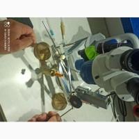 Акція! 1+1=3 матки Бакфаст штучного запліднення