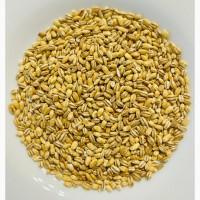 Крупа ячмінна перлова вагова купити оптом