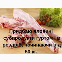 Куплю яловичі субпродукти гуртом або від 50кг -сухожилля, трахеї, пеніси бичі, хвости і т