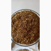 Вирджиния Бразилия, Милениум, честер, парламент, собрание