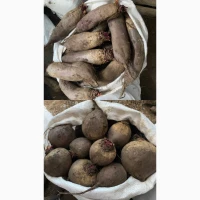 Продам буряк