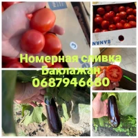Продам номерную сливка класса люкс