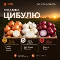Продаємо цибулю