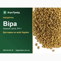 Люцерна Віра: продаж насіння, еліта, РН-1