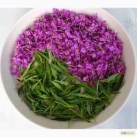 Продам иван-чай