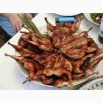 Мясо перепела BIO, фазана и курицы свежее