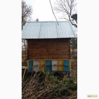 Продаю Апі домік для оздоровлення та лікування