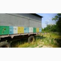 Продам павільйон для бджіл