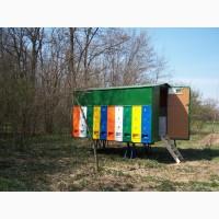 Продам бджолопавільйон