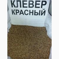 Продам семена клевера красного
