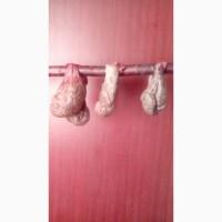 Продам бобровую струю