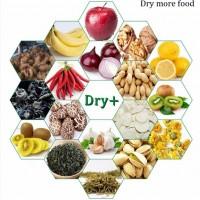 Сушильно -морозильні камери для овочів, фруктів, мяса, риби