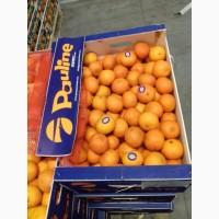 Продам мандарини та фрукти