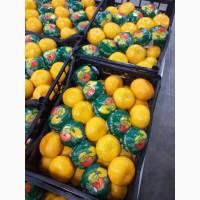 Продам мандарини та фрукти