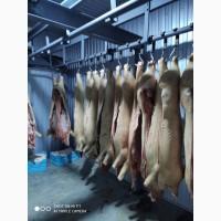 Продам убойный цех