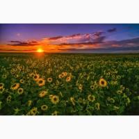 Продам господарство в Івано-Франківській області з земельним банком 500 га