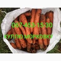 Куплю морковку сорт абака, каскад