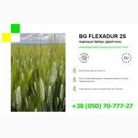 BG Flexadur 2S