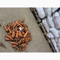 Продам товарну морковку в хорошем качестве