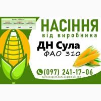 Насіння кукурудзи 2025 - гібрид ДН Сула (ФАО 310) від виробника