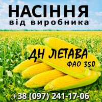 Насіння кукурудзи ДН Летава ФАО 350 / від виробника Agro_Exprt
