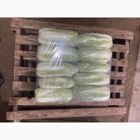 Продаж Пекінської капусти