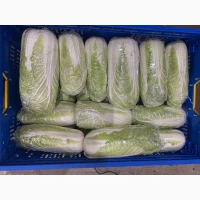 Продаж Пекінської капусти