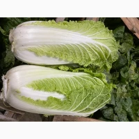 Продаж Пекінської капусти