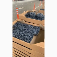 Продам ягоду лохини гурт/роздріб
