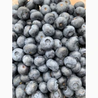 Продам ягоду лохини гурт/роздріб