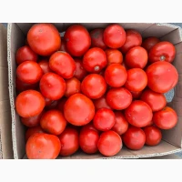 Продам помідор