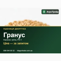 Сорт Гранус (пшениця-дворучка) - насіння еліта, РН-1 з документами