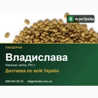 Люцерна Владислава - насіння для посіву