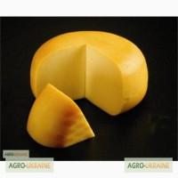 Твердый Сыр Оптом, ГОСТ