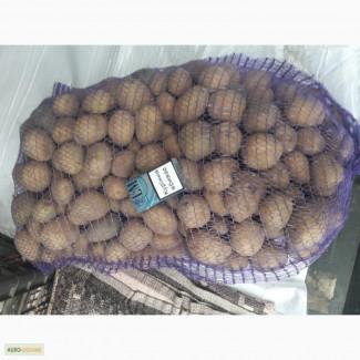 Продам средний и семеной картофель
