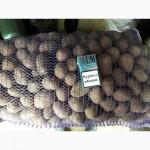 Продам средний и семеной картофель