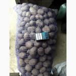 Продам средний и семеной картофель