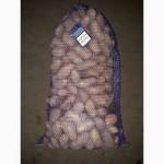 Продам средний и семеной картофель