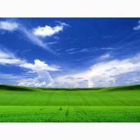 Куплю землю