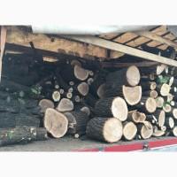 Продам в больших количествах дрова твердых пород и дрова фруктовые