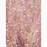 Продам воздушку, однозубку