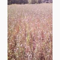 Продам воздушку, однозубку