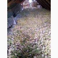 Продам воздушку, однозубку