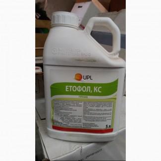 Етофол - надійний та технологічний грунтовий гербіцид на цукрові та столові буряки